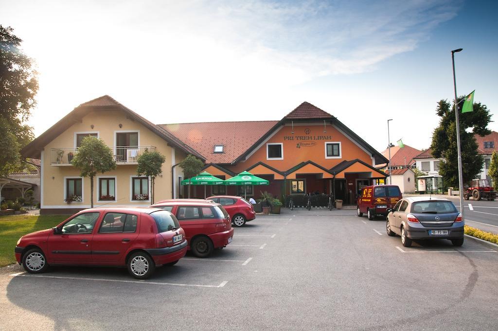 Guest House Pri Treh Lipah Ptuj Eksteriør billede