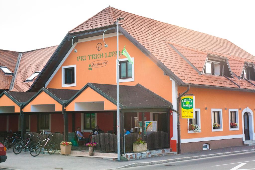 Guest House Pri Treh Lipah Ptuj Eksteriør billede