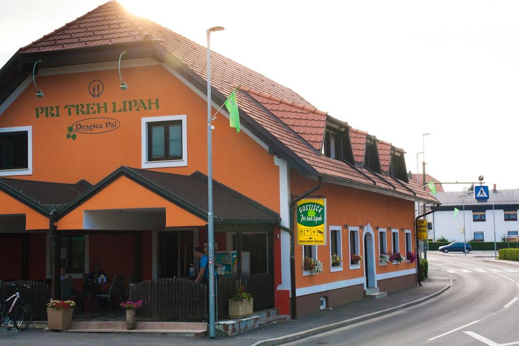 Guest House Pri Treh Lipah Ptuj Eksteriør billede