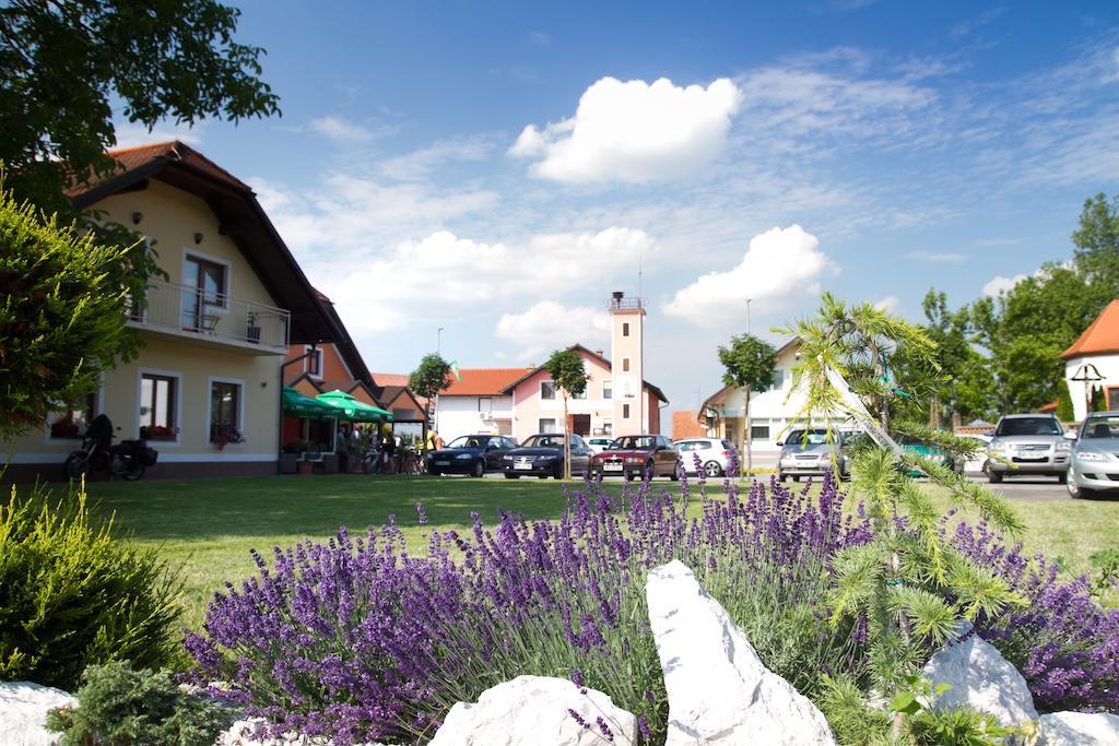 Guest House Pri Treh Lipah Ptuj Eksteriør billede
